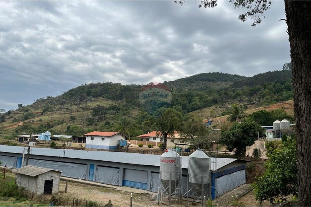 Chácara / Sítio / Fazenda - Venda - Bragança Paulista , São Paulo - IMG-20251028-WA0014.jpg - 690141085-32