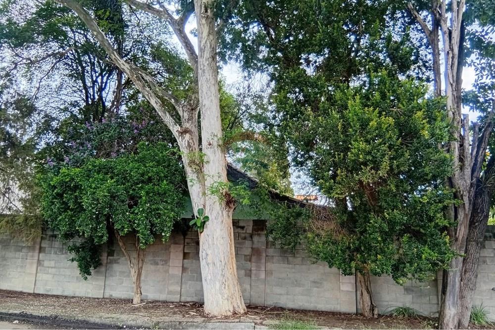 Chácara / Sítio / Fazenda - Venda - Campinas , São Paulo - 3 frente.jpeg - 690331038-16