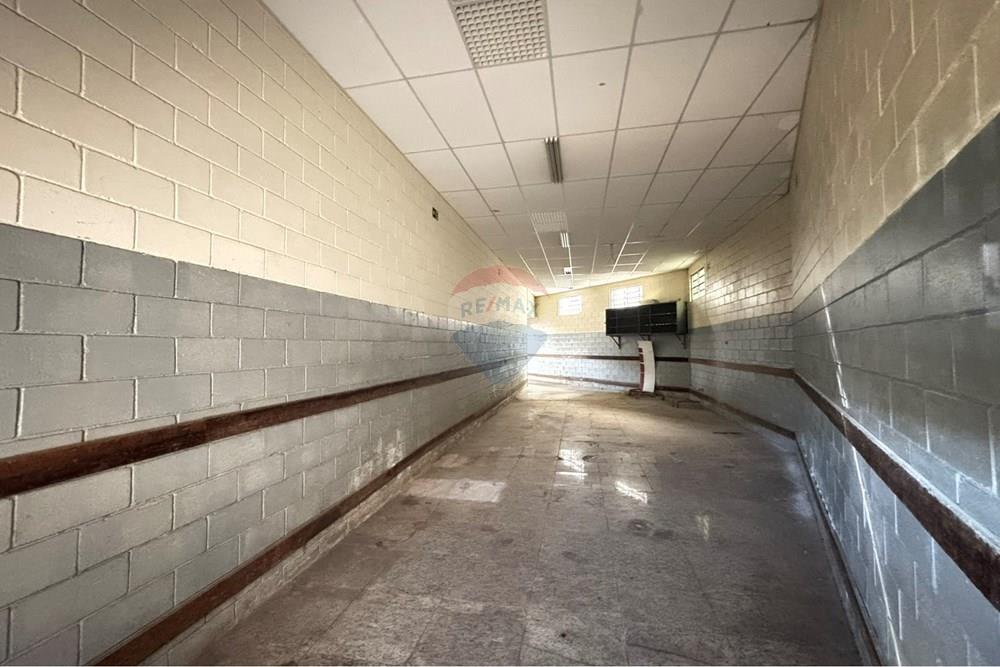 Galpão - Alugar - Campinas , São Paulo - IMG_6289.JPEG - 691181013-18