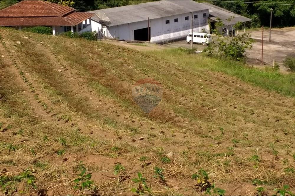 Chácara / Sítio / Fazenda - Venda - São Sebastião da Grama , São Paulo - WhatsApp Image 2026-02-28 at 11.12.06 (1).jpeg - 690681090-50