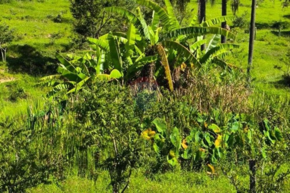 Chácara / Sítio / Fazenda - Venda - Morungaba , São Paulo - WhatsApp Image 2026-03-05 at 17.26.15 (2).jpeg - 691131002-3