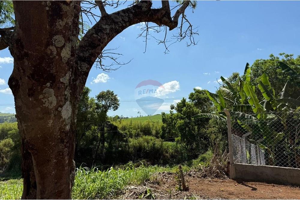 Terreno - Venda - Tuiuti , São Paulo - IMG-20251205-WA0117.jpg - 690041135-35