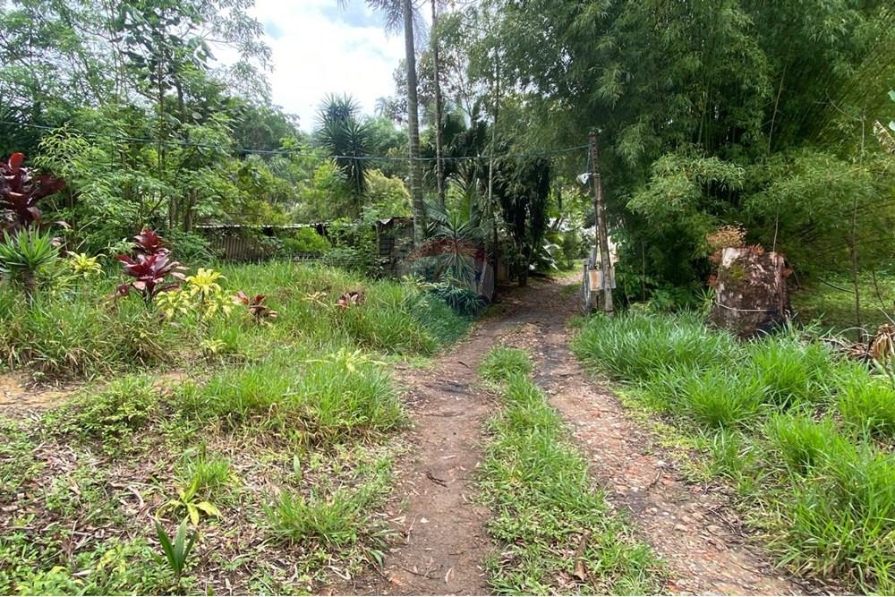 Chácara / Sítio / Fazenda - Venda - Mairiporã , São Paulo - d28daf88-0213-45d3-bab2-a8731e3c1551.jpeg - 690041107-26