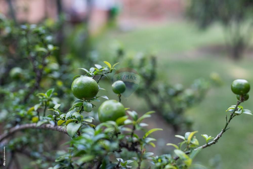 Chácara / Sítio / Fazenda - Venda - Valinhos , São Paulo - TKD-17936.jpg - 690941036-31