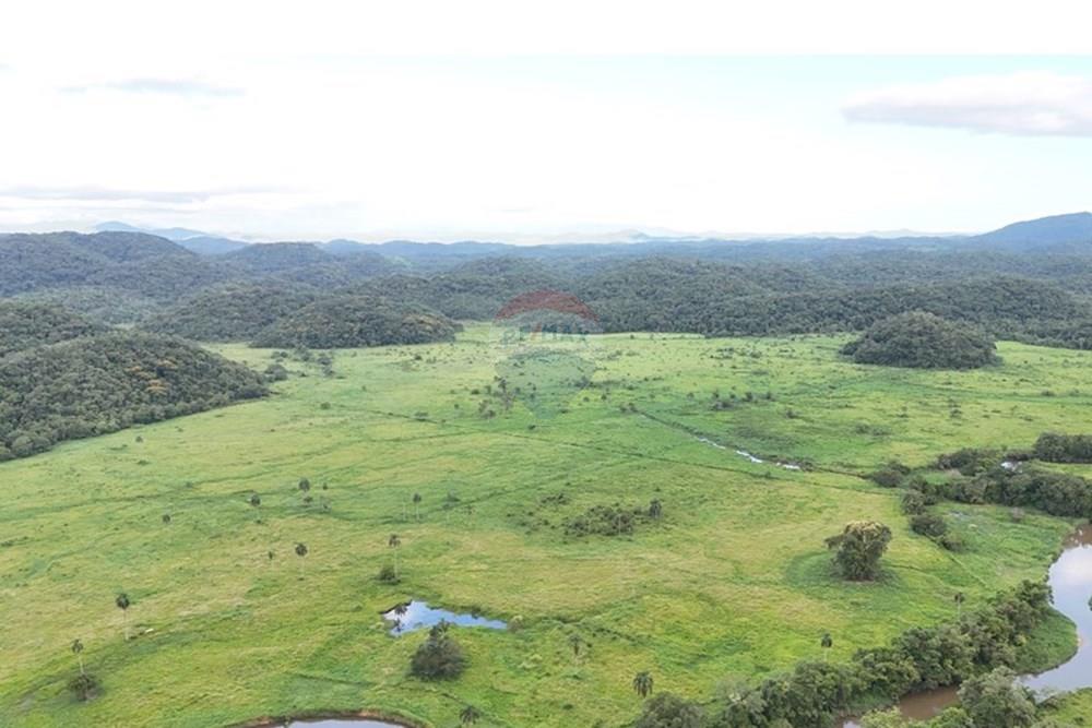 Fazenda - Venda - Sete Barras , São Paulo - 30.jpeg - 690061037-11