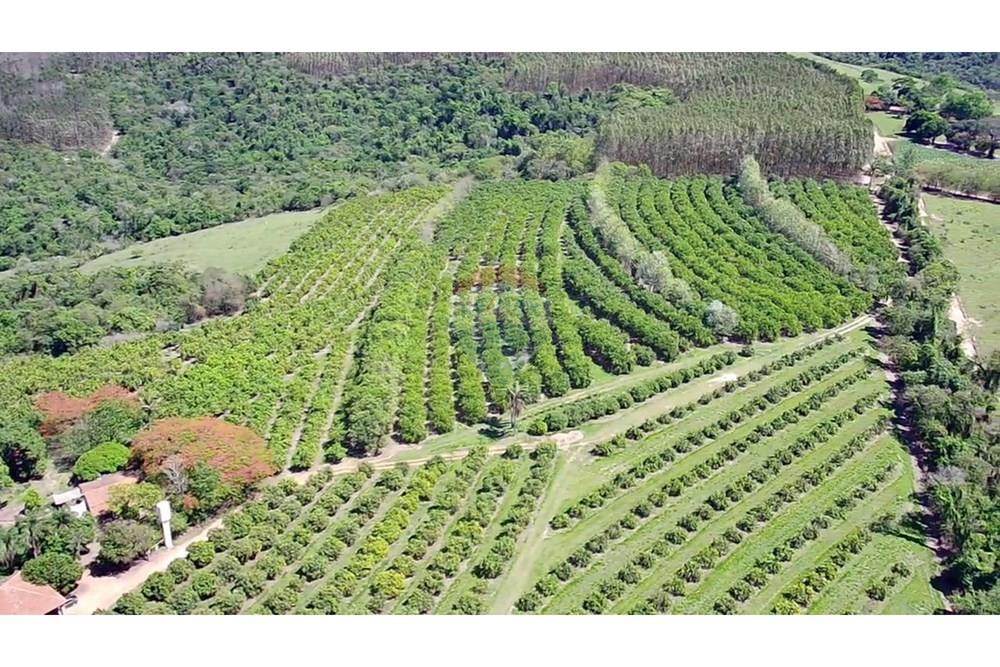 Fazenda - Venda - Analândia , São Paulo - b8e8498c-e9bb-4d4a-8c5f-90edeb6786ec.jpg - 690691016-305