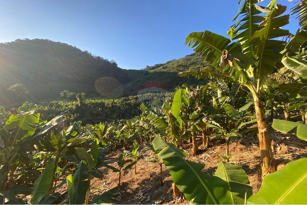 Fazenda - Venda - Miracatu , São Paulo - WhatsApp Image 2025-07-08 at 17.00.31.jpeg - 690061038-15