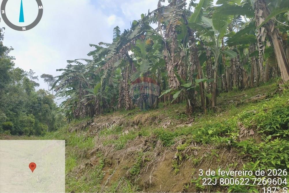 Fazenda - Venda - Jacupiranga , São Paulo - WhatsApp Image 2026-03-02 at 20.10.26 (1).jpeg - 690061037-12