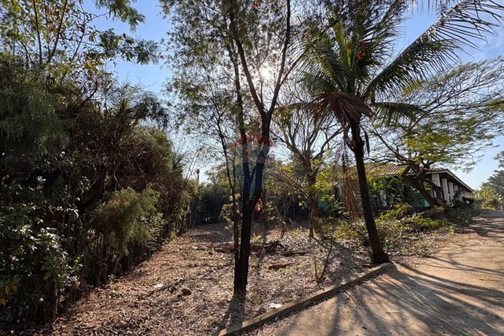 Chácara / Sítio / Fazenda - Venda - Capivari , São Paulo - Imagem do WhatsApp de 2025-08-22 à(s) 10.00.51_170b525a.jpg - 690091006-531