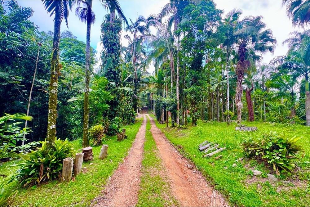 Terreno - Venda - Peruíbe , São Paulo - WhatsApp Image 2026-01-15 at 14.40.39 (2).jpeg - 691111009-61