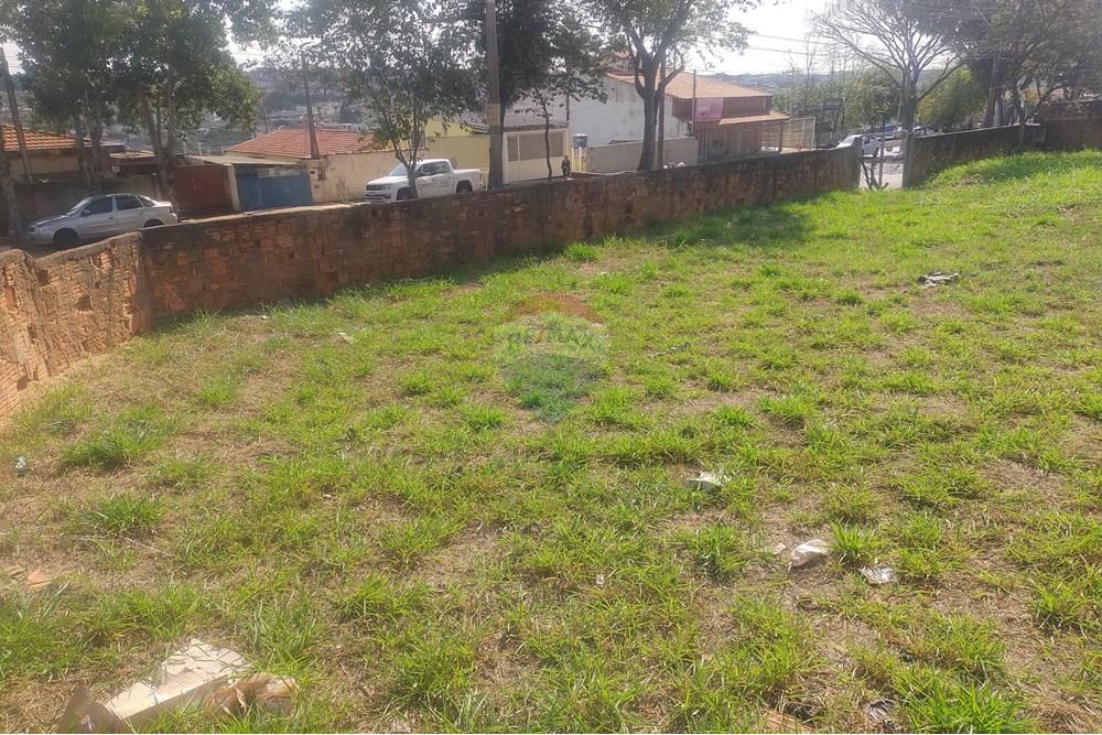 Terreno - Venda - Cosmópolis , São Paulo - IMG_20240801_135642597.jpg - 690511359-369