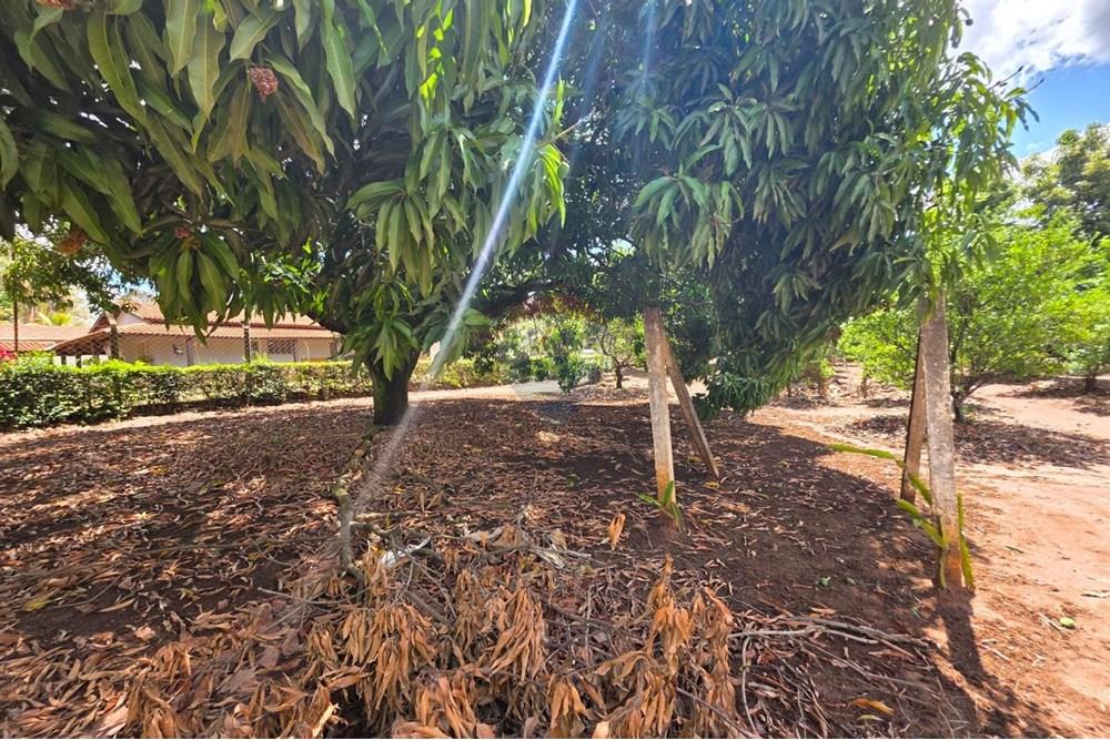 Terreno - Venda - Mogi Mirim , São Paulo - Imagem do WhatsApp de 2025-10-02 à(s) 17.45.41_2638651b.jpg - 690751109-7