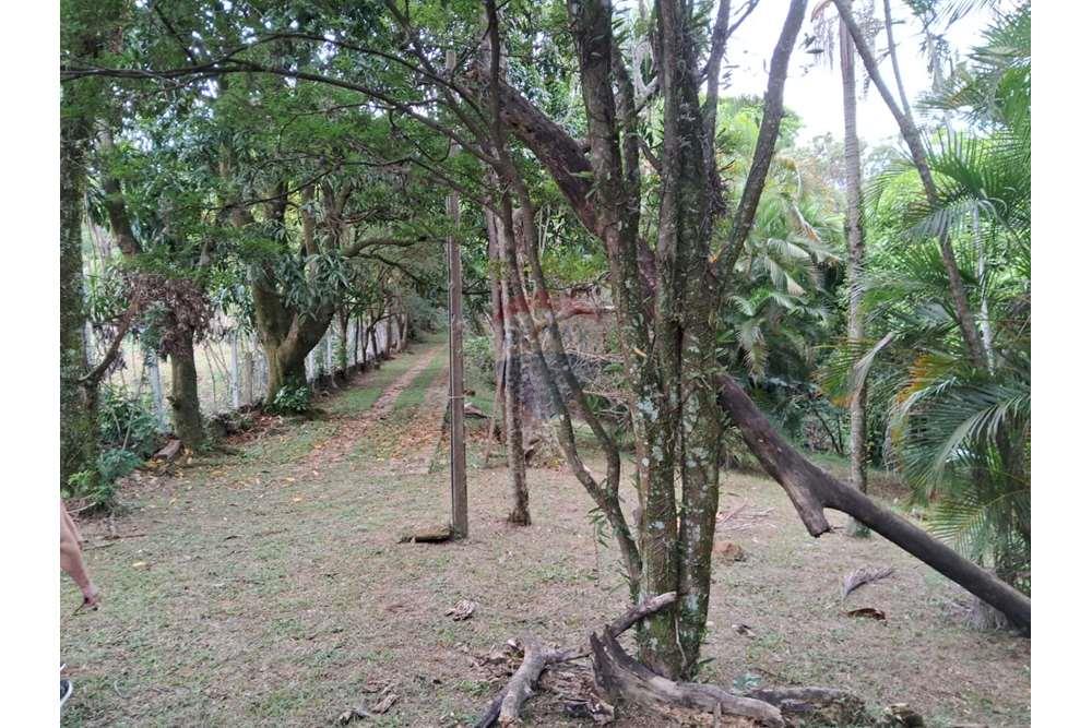 Chácara / Sítio / Fazenda - Venda - Valinhos , São Paulo - foto 7.jpg - 690851076-164