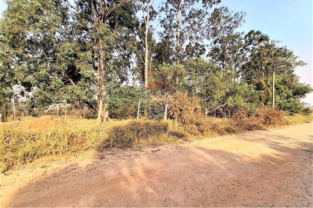 Gyvenamasis - Žemės sklypas - Pedreira , San Paulas - BR - WhatsApp Image 2024-08-23 at 16.24.28.jpeg - 690671004-331