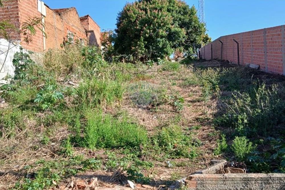 Terreno - Venda - São Pedro , São Paulo - 1.jpg - 690571073-60