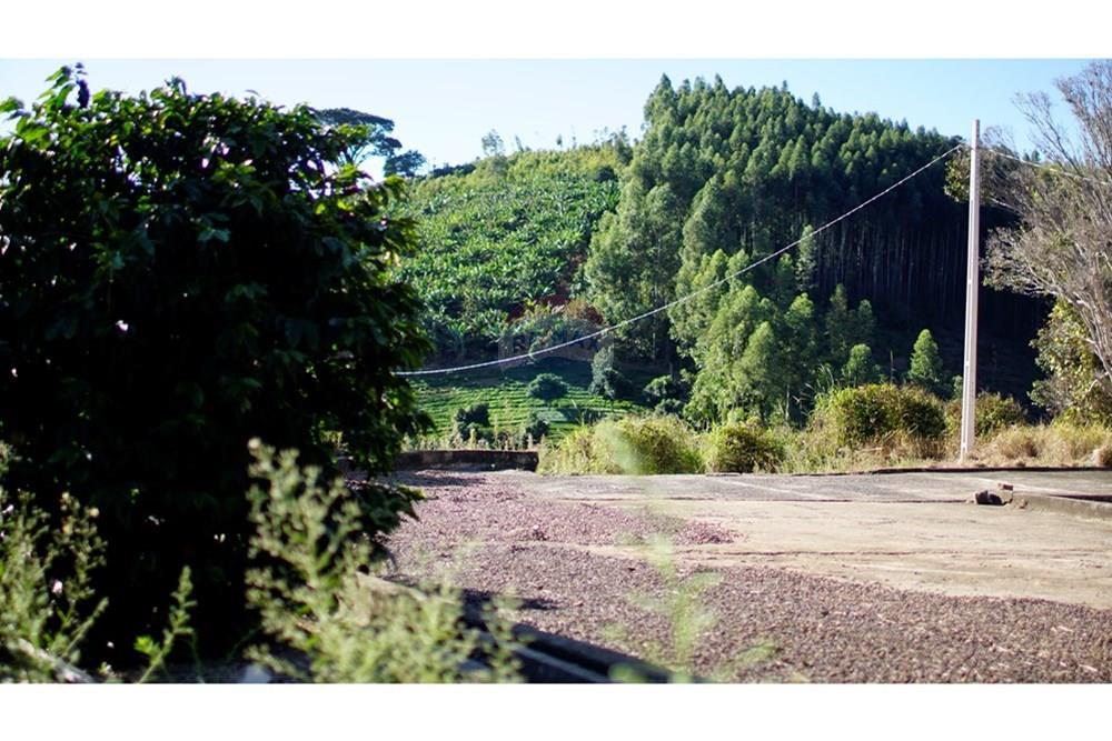 Chácara / Sítio / Fazenda - Venda - Serra Negra , São Paulo - _JEA8962.JPG - 690291056-34
