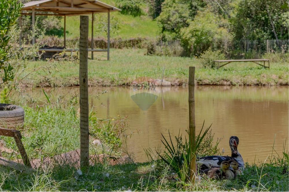 Chácara / Sítio / Fazenda - Venda - Jarinu , São Paulo - RINf-056.jpg - 690921112-9