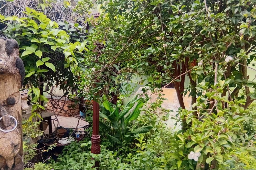 Chácara / Sítio / Fazenda - Venda - Campinas , São Paulo - 8 piscina.jpeg - 690331038-16