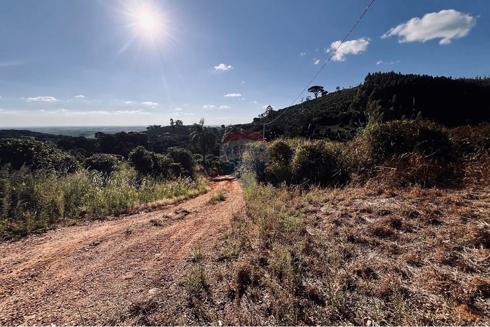 Chácara / Sítio / Fazenda - Venda - Serra Negra , São Paulo - IMG_4708.jpg - 690291056-34