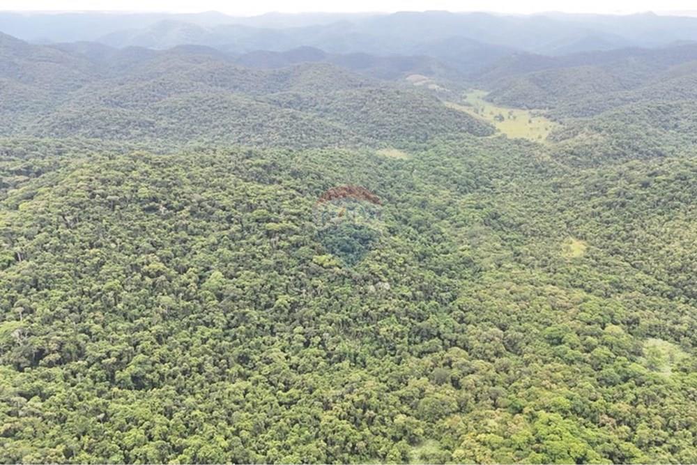 Fazenda - Venda - Miracatu , São Paulo - WhatsApp Image 2025-04-10 at 13.48.46.jpeg - 690061038-5