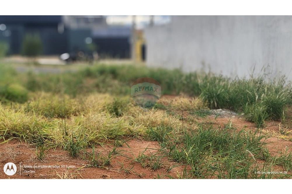 Terreno - Venda - Limeira , São Paulo - WhatsApp Image 2026-01-06 at 14.43.22.jpeg - 690741092-3