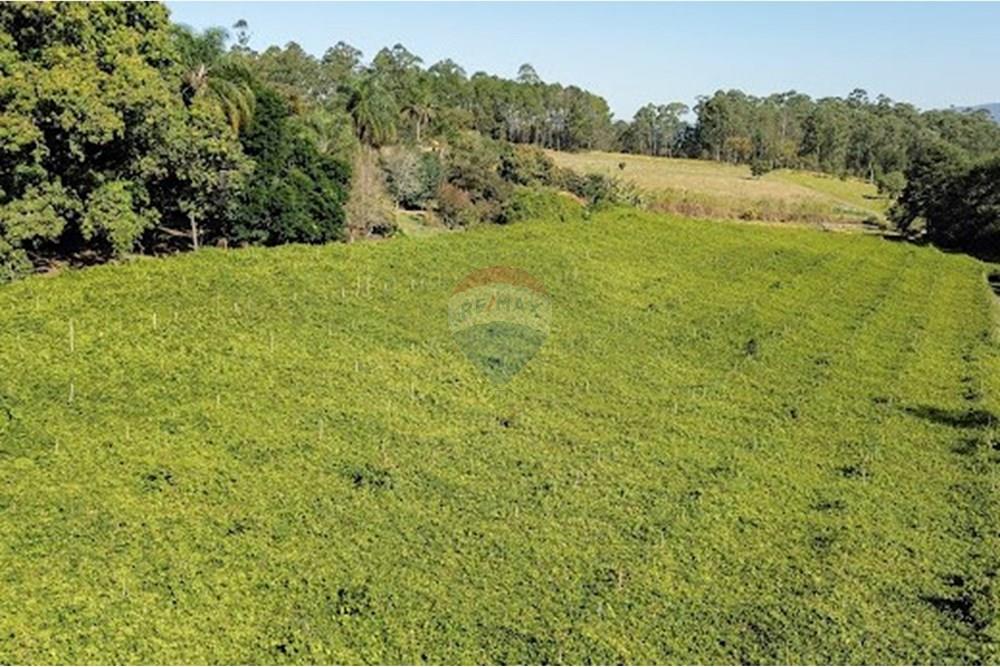 Fazenda - Venda - Jundiaí , São Paulo - 014VS.jpg - 690791011-170