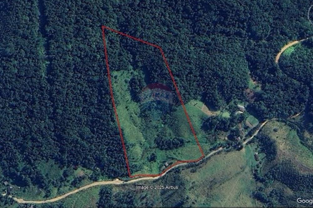 Fazenda - Venda - Jacupiranga , São Paulo - Google Luiz Carlos.jpg - 690061038-17