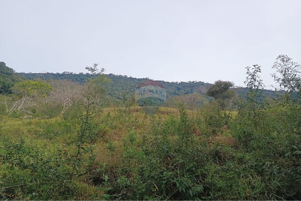 Chácara / Sítio / Fazenda - Venda - Santa Maria da Serra , São Paulo - 44a5734b-98f6-435d-abd2-e84717a3eabe.jpg - 690571076-32