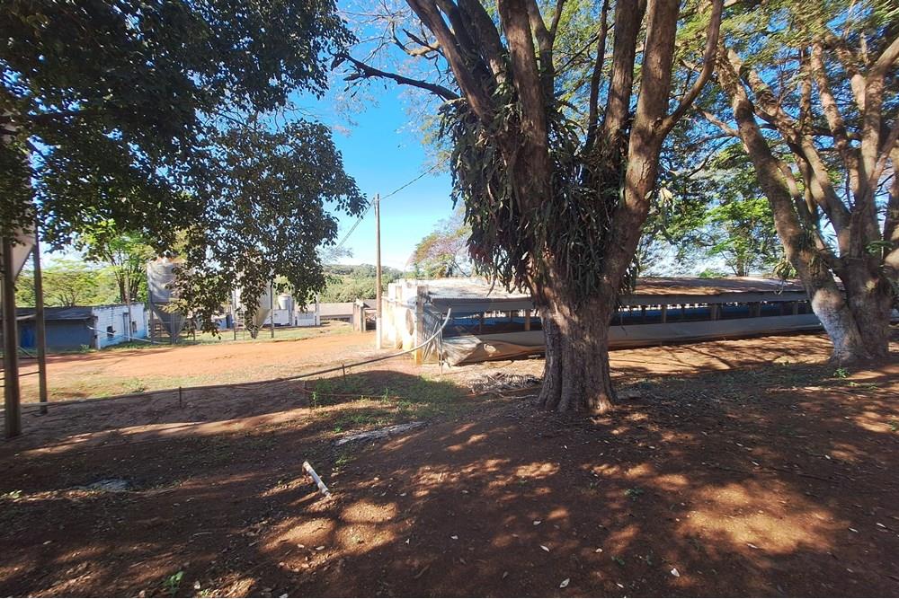 Chácara / Sítio / Fazenda - Venda - Conchal , São Paulo - 20250617_134839(1).jpg - 690751019-291