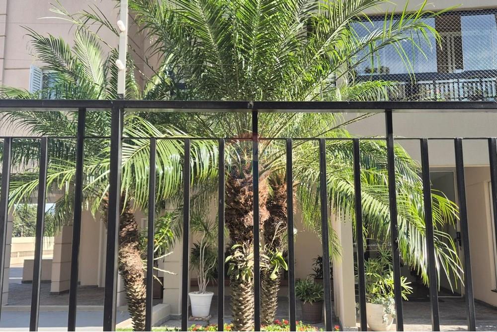 Apartamento - Alugar - Valinhos , São Paulo - 38a83fcc-e17e-4dfe-a6f0-7c9eb8fa23de.jpg - 690851008-519