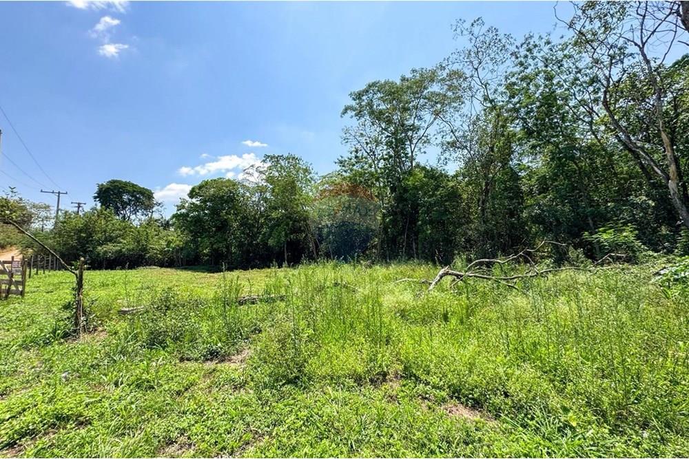 Terreno - Venda - Estiva Gerbi , São Paulo - WhatsApp Image 2025-10-18 at 11.25.58.jpeg - 690521005-176