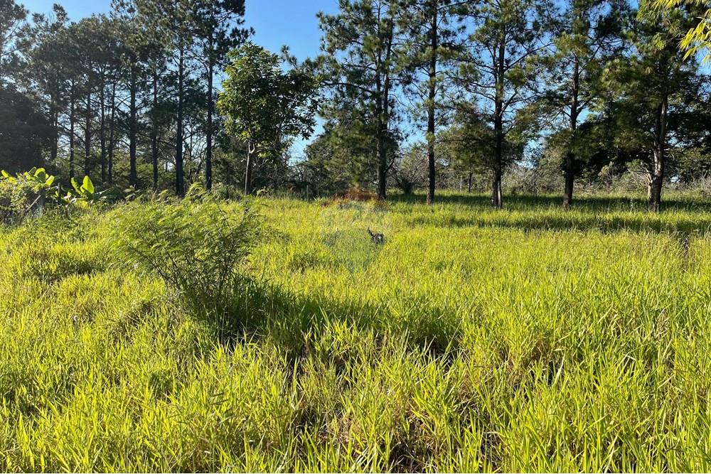 Terreno - Venda - Bragança Paulista , São Paulo - H - Foto Terreno Portal Barragem Jacareí 29.jpg - 690041052-92