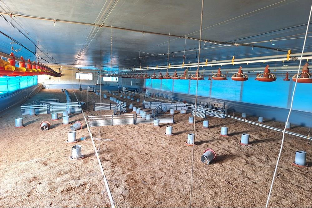 Chácara / Sítio / Fazenda - Venda - Itapira , São Paulo - 20250626_103520.jpg - 690751048-290