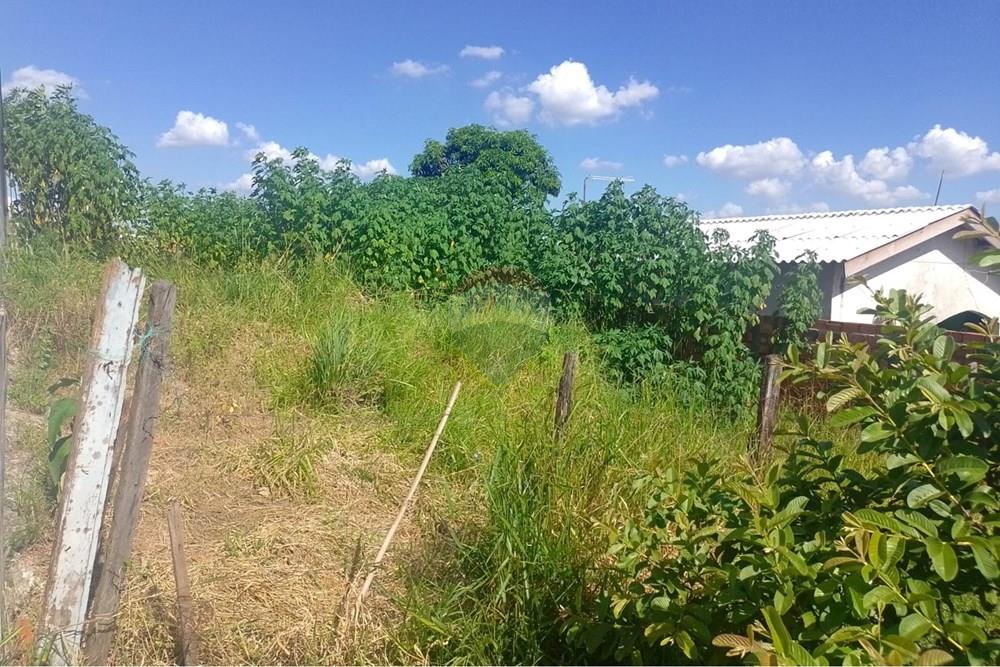 Terreno - Venda - Mogi Mirim , São Paulo - WhatsApp Image 2026-03-04 at 23.28.50.jpeg - 690751108-20