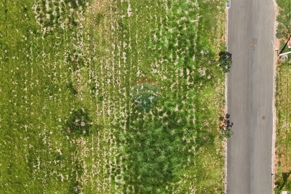 Terreno - Venda - Jaguariúna , São Paulo - DJI_20260112142737_0028_D.JPG - 690671004-433