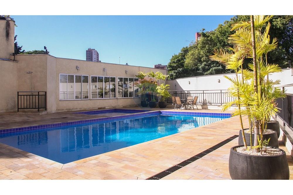 Apartamento - Alugar - Piracicaba , São Paulo - download (4).jpeg - 690781131-118