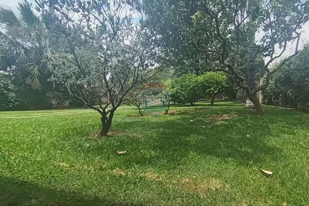 Chácara / Sítio / Fazenda - Venda - Paulínia , São Paulo - e97e681f-07cc-4ea3-9d6c-a526c3c102de.jpeg - 690511152-112