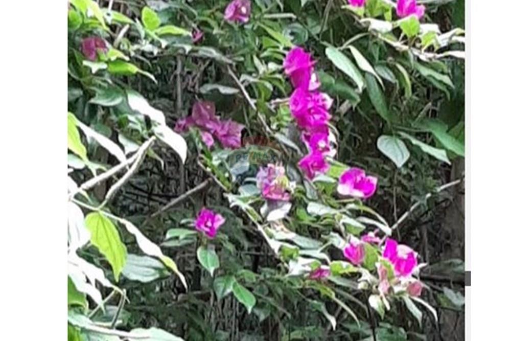 Terreno - Venda - Campinas , São Paulo - Bosque 7.JPG - 690541103-274