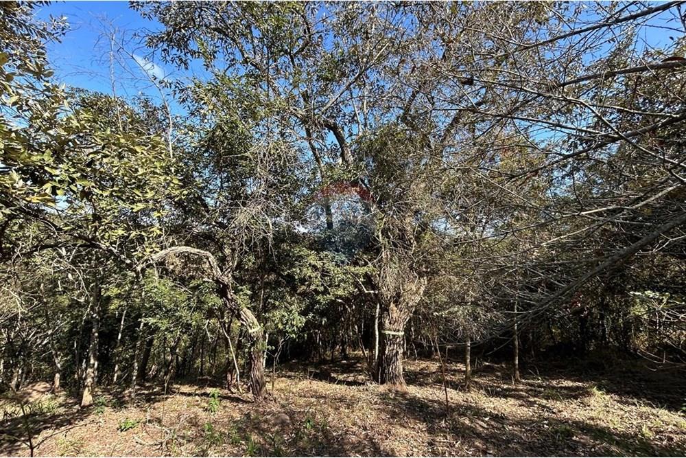 Terreno - Venda - Jarinu , São Paulo - IMG-20250819-WA0028.jpg - 690661027-137