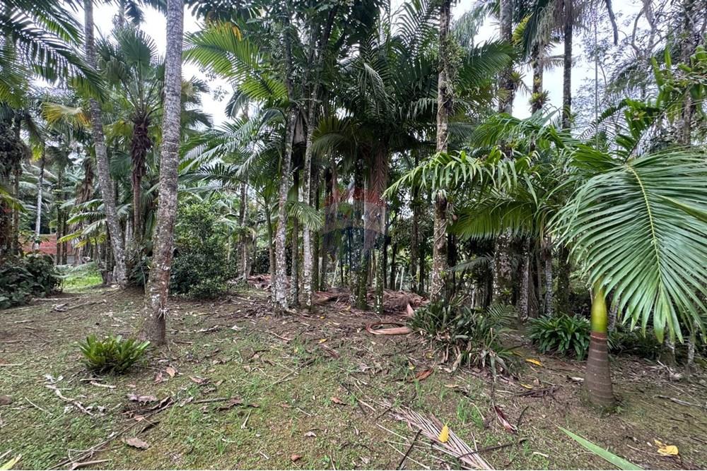 Terreno - Venda - Peruíbe , São Paulo - IMG-20251017-WA0101.jpg - 691111009-62