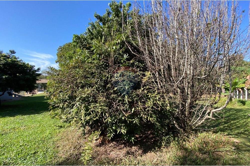 Chácara / Sítio / Fazenda - Venda - Jacutinga , Minas Gerais - WhatsApp Image 2025-08-06 at 14.30.57 (3).jpeg - 690291077-290