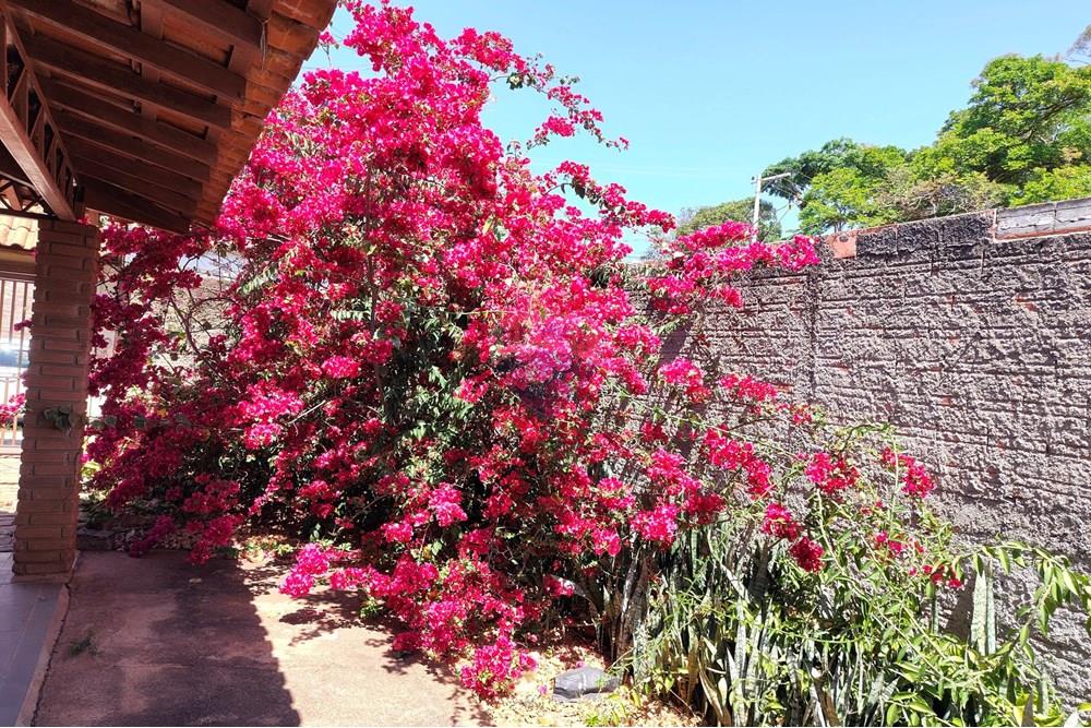Chácara / Sítio / Fazenda - Venda - Cosmópolis , São Paulo - IMG_20250917_130409088_HDR-EDIT.jpg - 690511001-1554