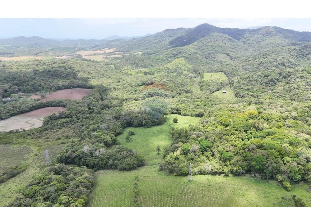 Fazenda - Venda - Pariquera-Açu , São Paulo - WhatsApp Image 2026-03-18 at 16.42.14 (2).jpeg - 690061038-24