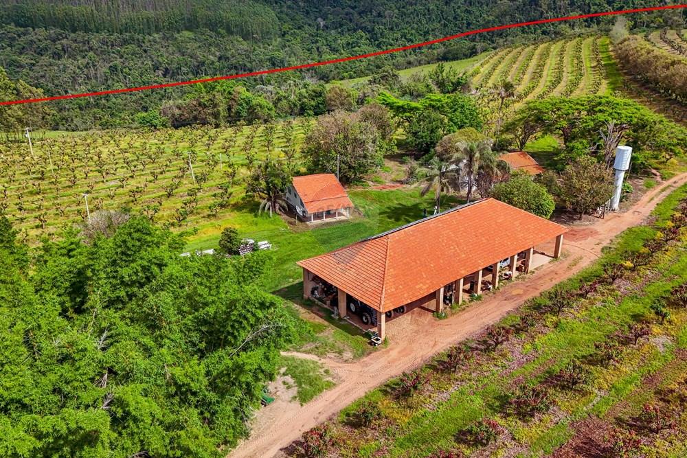 Fazenda - Venda - Analândia , São Paulo - Tratada - Drone-67.jpg - 690691016-305