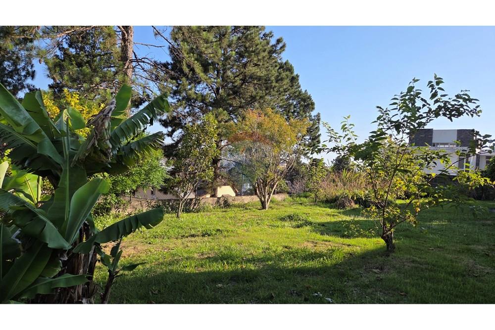 Terreno - Venda - Barueri , São Paulo - 20251111_164123.jpg - 690951041-17