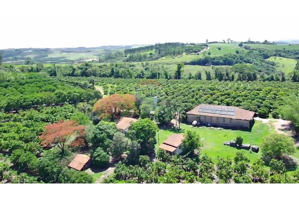Fazenda - Venda - Analândia , São Paulo - 933455ae-ce02-4a52-abb7-0345f722883a.jpg - 690691016-305