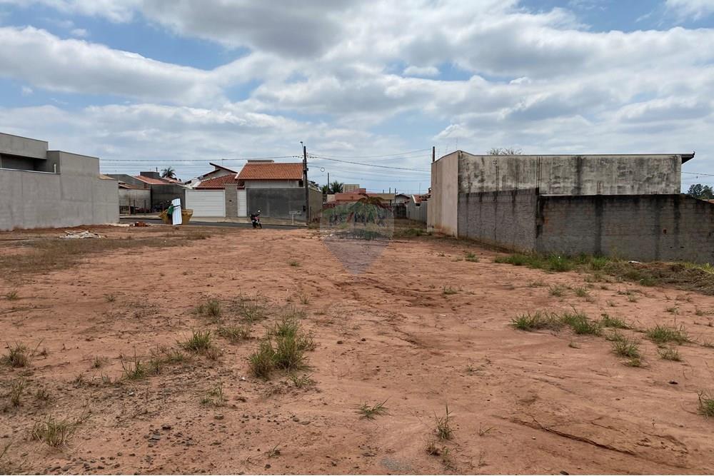 Terreno - Venda - Mogi Mirim , São Paulo - IMG_8433.jpg - 690751017-146