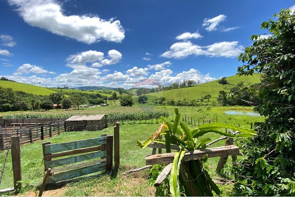 Chácara / Sítio / Fazenda - Venda - Lindóia , São Paulo - Imagem do WhatsApp de 2025-02-25 à(s) 19.33.40_88335870.jpg - 690291077-296