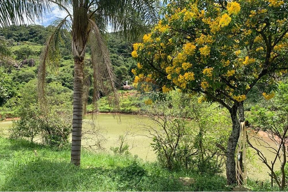 Chácara / Sítio / Fazenda - Venda - Bragança Paulista , São Paulo - GRANJA TANQUE (7).jpg - 690141085-32