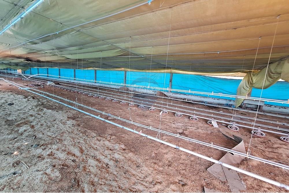 Chácara / Sítio / Fazenda - Venda - Itapira , São Paulo - 20250626_095643.jpg - 690751048-290